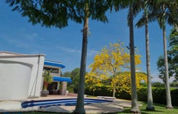 unit: 20, Pereira, Pereira