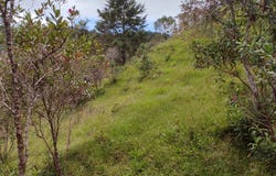 Guatape, Guatapé, Antioquia, Colombia, Guatapé, Antioquia