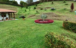 7J3M+VG, San Vicente, Vda. Chaparral, San Vicente, Antioquia, Colombia, San Vicente Ferrer, Antioquia 054017