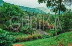 Via a La Fontana, Dapa, Yumbo, Valle del Cauca, Colombia, Cali, Valle del Cauca