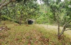 El Higueron, Anapoima, Cundinamarca, Colombia, Anapoima, Cundinamarca 252647