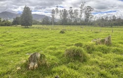 La Calera, Cundinamarca 251208