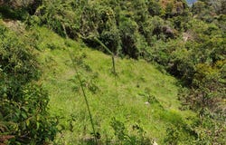 276 Cl. 31, Guatapé, Antioquia 053840