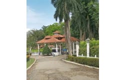 Carmen De Apicala, Tolima