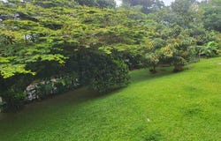 Dapa, Dapa, Valle del Cauca 760507