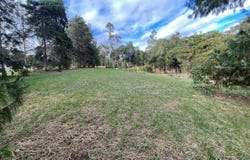 MESA DE LOS SANTOS -VEREDA EL MADROÑO, Los Santos, Santander
