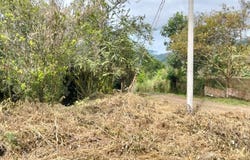 La Esperanza, La Mesa, Cundinamarca, Colombia, La Mesa, Cundinamarca 252607
