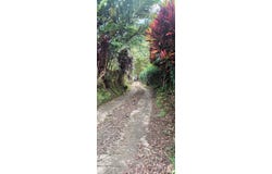 Via a Costa Rica, Ginebra, Valle del Cauca, Colombia, Ginebra, Valle del Cauca