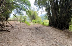 Minca, Magdalena, Magdalena 470008