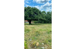 JRC5+GW, El Cerrito, Valle del Cauca, Colombia, El Cerrito, Valle del Cauca 763520
