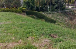 Pereira, Risaralda