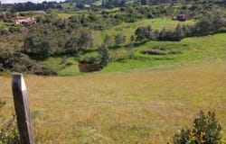 Vía Vereda la Carbonera, Guatavita, Cundinamarca 251067