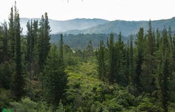 vereda chipaquin sutatauza, Municipio de Sutatausa, Ubate, Cundinamarca,, Cundinamarca