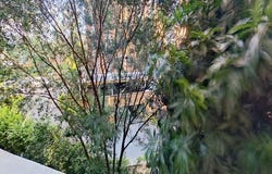 Medellín, Antioquia, Colombia, Medellín, Antioquia