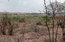 X47C+JP Barranquilla, Atlántico, Colombia, Barranquilla, Atlantico