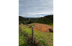 7MH7+2J, San Vicente, Antioquia, Colombia, San Vicente Ferrer, Antioquia 054017