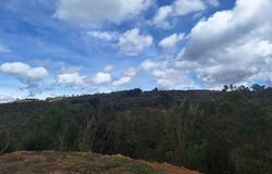 Vereda Ovejas Parcelacion Horabella lote 30, San Vicente de Paul, Medellín, Antioquia, Medellín, Antioquia 54017