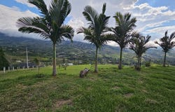 Vía a El Carmen, Borrero Ayerbe, Dagua, Valle del Cauca, Colombia, Dagua, Valle del Cauca 760529