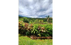 Carbonal, Grecia, Alajuela, Grecia, Alajuela