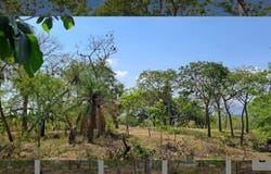 Puntarenas, Puntarenas, Garabito, Bajamar, Guacalillo, Garabito, Puntarenas, Garabito, Puntarenas