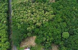 Ceiba s/n, Hojancha, Hojancha, Guanacaste, Hojancha, Guanacaste 51101