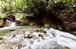 Finca de Bosque La Tigre, San Carlos, Alajuela, San Carlos, Alajuela