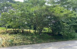 Alajuela, Orotina, San Jerónimo, Orotina, Alajuela, Orotina, Alajuela