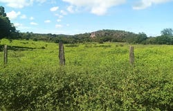 Riverfront, Mountain and Countryside Agricultural Land For Sale in Cañas Dulces, Cañas Dulces, Guanacaste