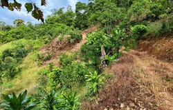 Chimirol Rivas, Pérez Zeledón, San José, Pérez Zeledón, San José