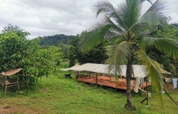 La Mona Golfito, Golfito, Puntarenas, Golfito, Puntarenas