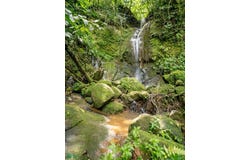 VX5C+QGC , Limoncito, Coto Brus, Puntarenas, Coto Brus, Puntarenas