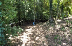 Hatillo de Savegre, Puntarenas, Costa Rica, Savegre, Puntarenas, Savegre, Puntarenas