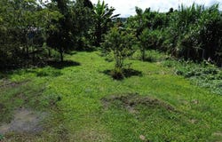 Yapirí s/n, Turrialba, Turrialba, Cartago, Turrialba, Cartago 30501