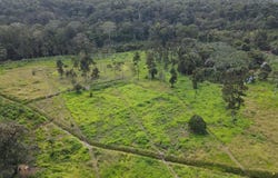 ruta 256 s/n, Cahuita, Talamanca, Limon, Talamanca, Limon 70403