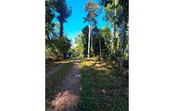 Punta Uva, Cahuita, Limon 000696