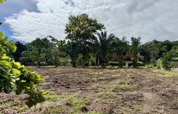 Golfito>Pavones, Pavones, Puntarenas, Pavones, Puntarenas