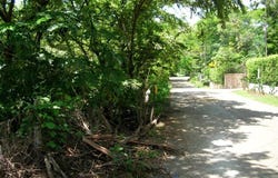 Walking Distance Beachside Corner Lot with Water , Playa Hermosa, Carrillo, Guanacaste, Carrillo, Guanacaste
