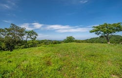 The Enclave at Los Cielos , Tamarindo, Santa Cruz, Guanacaste, Santa Cruz, Guanacaste