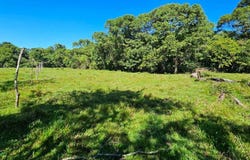 Permaculture Lot 1 , San Isidro del General, Perez Zeledon, San Jose, Perez Zeledon, San Jose 11902