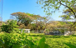 X86V+62, Guanacaste Province, Nosara, Costa Rica, Nicoya, Guanacaste Province