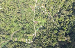 Carbon, Cahuita, Limon 70403