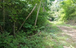 Premium Development Property for Sale in Nosara â€“ Excellent Location with Main Road Frontage, Santa Marta, Guanacaste