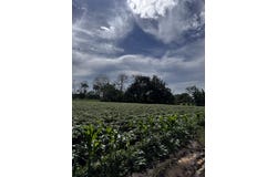Alajuela, San Carlos, San josecito, San Carlos - La Fortuna, Alajuela, San Carlos - La Fortuna, Alajuela