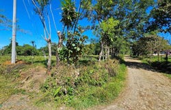Permaculture Lot 3 , General, Perez Zeledon, San Jose, Perez Zeledon, San Jose 11902