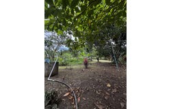 San Carlos, el molino, San Carlos - La Fortuna, Alajuela, San Carlos - La Fortuna, Alajuela