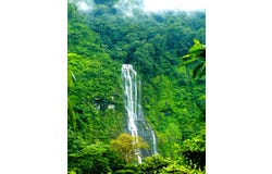 Costa Rican Retreat with Spectacular Waterfall ViewsCosta Rican Retreat with Spectacular Waterfall Views | San Isidro-Perez Zeledon, Tinamaste, San Jose, Costa Rica, Barð, San José