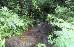 THE HIDDEN CREEK, Tierras Morenas, Guanacaste