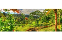 Carbonal, Grecia, Alajuela, Grecia, Alajuela