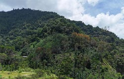 Elegant 3-Bedroom Home with Ocean & Mountain Views in the Heart of Tinamaste , Tinamaste, Perez Zeledon, San Jose, Perez Zeledon, San Jose