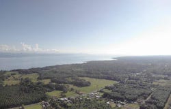 Puerto Jiménez, Puntarenas, Puntarenas, Puntarenas, Puntarenas